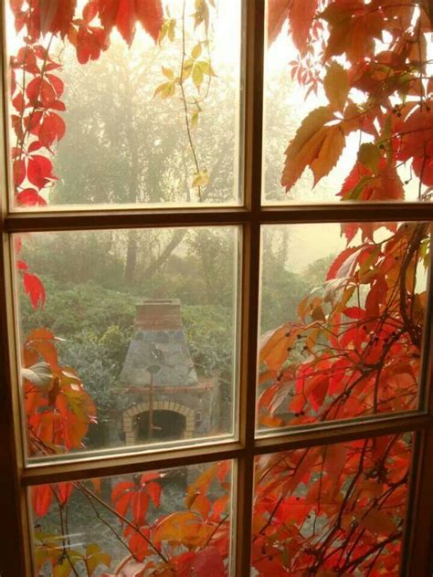 Image result for Autumn Window View