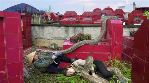 Image result for Python at a Graveyard