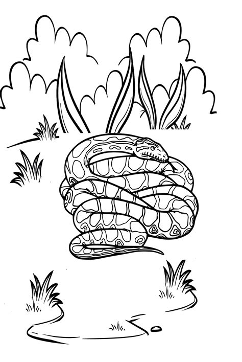 Toradh íomhá ar Python Colouring Sheet