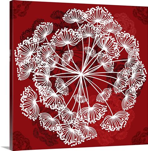 Image result for Queen Ann Shell Pattern