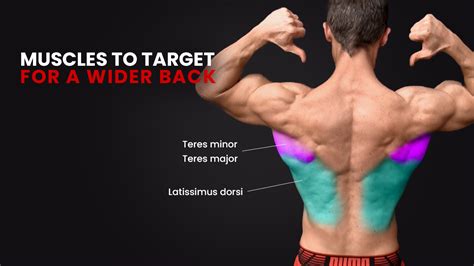 Image result for Broad Back Build