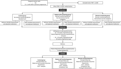 Flowchart of Randomization Process in a Sports Study に対する画像結果
