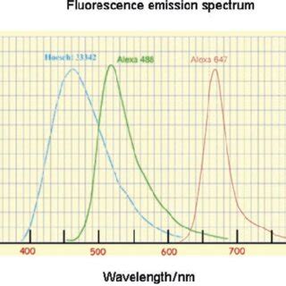 Image result for Neutral Red Fluorescence Spectrum