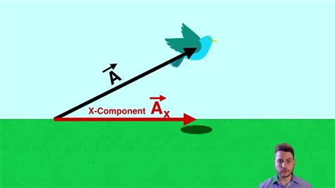 Image result for How to Get the X and Y Components of a Vector
