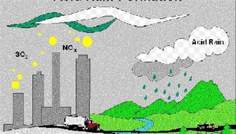 How Can SO2 Emissions Impact Environment に対する画像結果