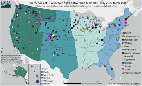 Image result for Predicted Detections Map Animals