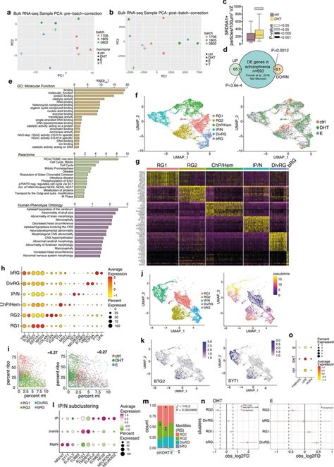 Image result for Type of Transcriptomics
