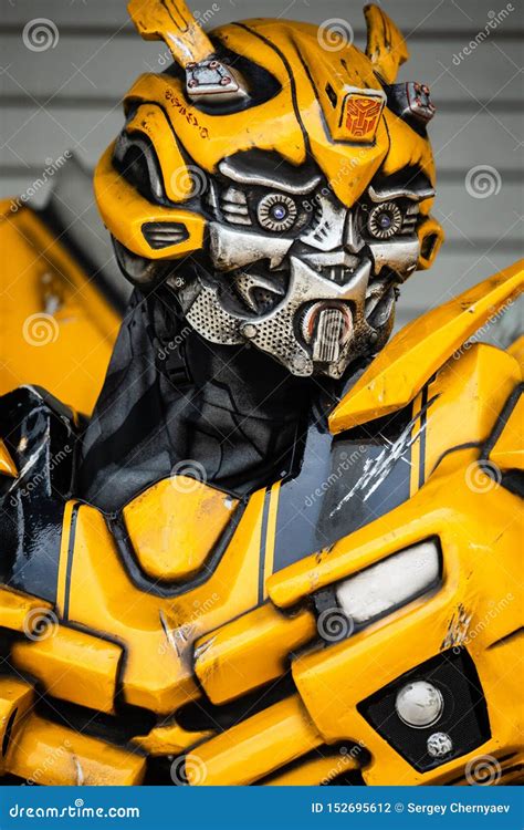 Toradh íomhá ar Bumble Bee Robot Body