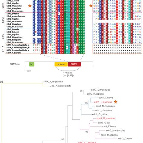 Protein Sequence Alignment に対する画像結果
