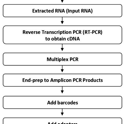 Image result for DNA Isolation to Sequencing Workflow