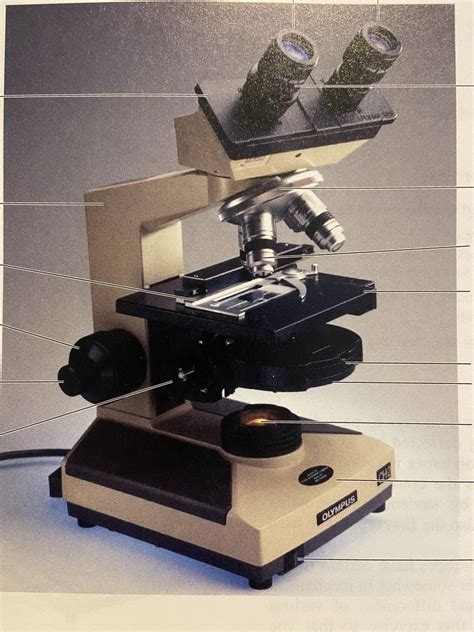 Image result for Compound Microscope Lens Diagram