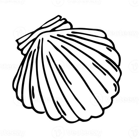 Shell Line Art に対する画像結果