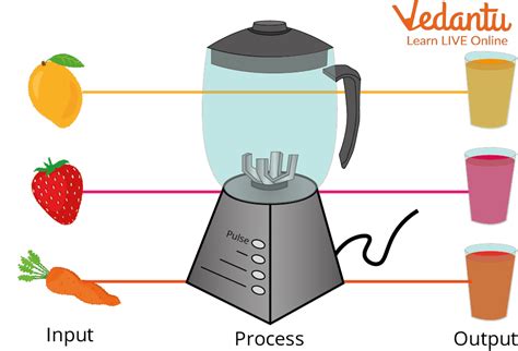 Image result for Input Process Output Examples Computer