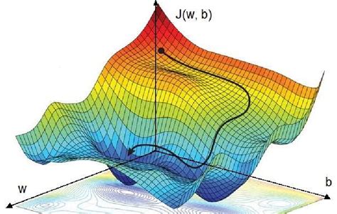 Function Gradient Visualization に対する画像結果
