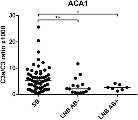 Complement C3 Production に対する画像結果