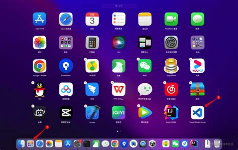 Toradh íomhá ar A Projecti Code App