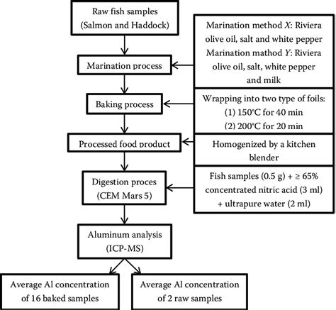 Image result for Schematic Representation Example