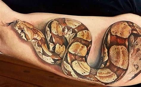 Toradh íomhá ar Ball Python Tattoo Designs Outline