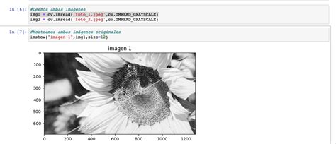 Image result for Grey Scale Static Make in Python