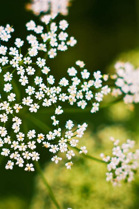 Image result for Parallel Line Segment in Real Life