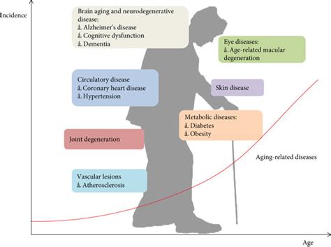 Image result for Chart of Causes of Aging