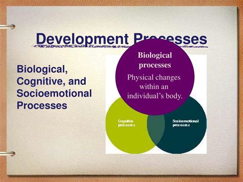 Image result for Adolescent Biological Development