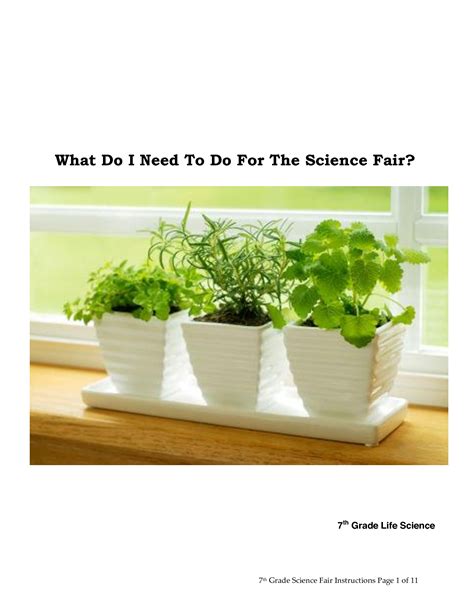 Toradh íomhá ar Science Fair Research Example