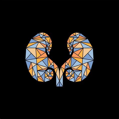 Image result for Kidney Graphic Design