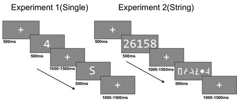 Toradh íomhá ar Motion Detection Task Visual Harvard