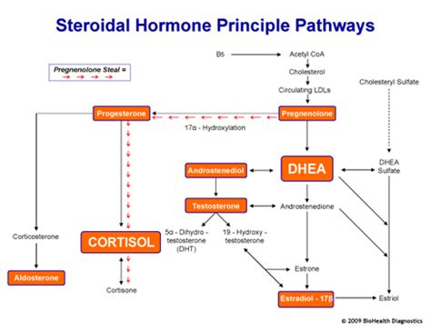 Cortisol Control に対する画像結果