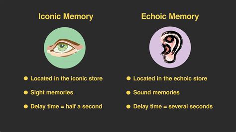 Afbeeldingsresultaten voor Example of Echoic Memory