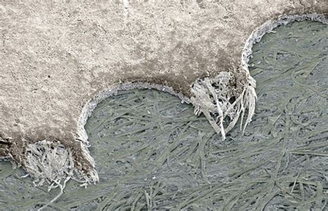 Image result for Everyday Objects Under a Microscope Toothpaste