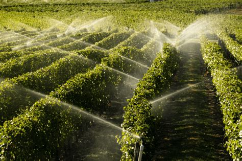 Image result for Edge Impulse Vineyard Irrigation