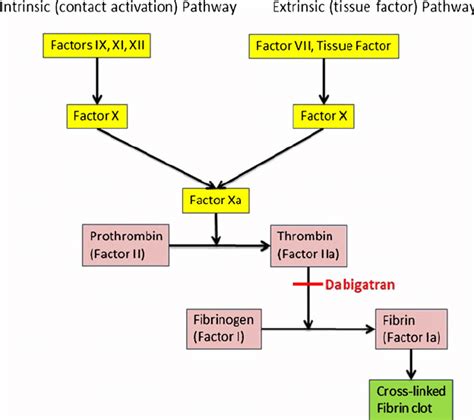 Coagulation Cascade For Dummies に対する画像結果