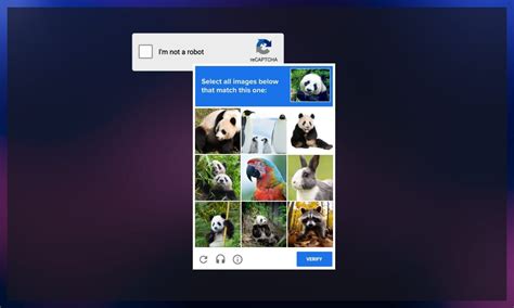 Toradh íomhá ar Supervised Learning Steps