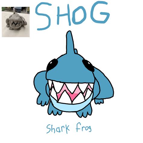 Image result for Shog Stack Overflow