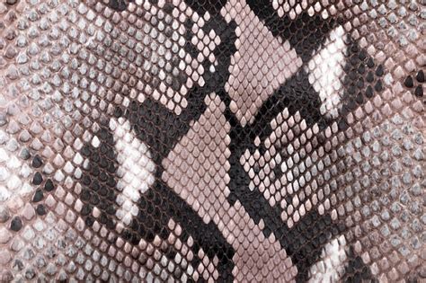 Image result for Python Skin Stencil