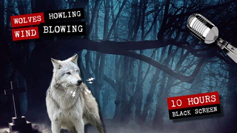 Image result for Wolves Howling Audio