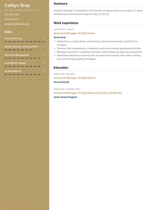 Image result for Assistant Manager Operations Sample CV