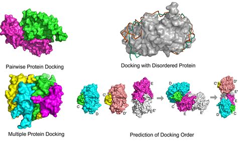 Image result for Protein Structure Modeling