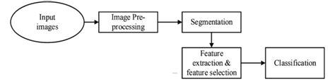 Image result for Computer Aided Detection System