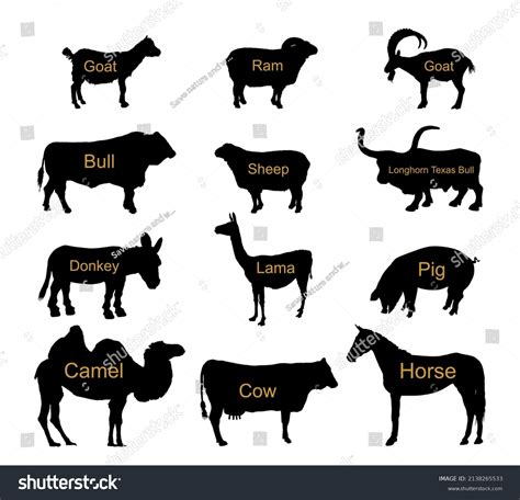 Image result for Split Hoof Animals