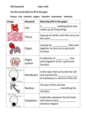 Toradh íomhá ar KS3 Computer Science Eal Resourses Examples