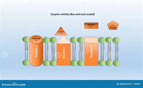 Toradh íomhá ar Chemical Kinetics Cartoon Pic