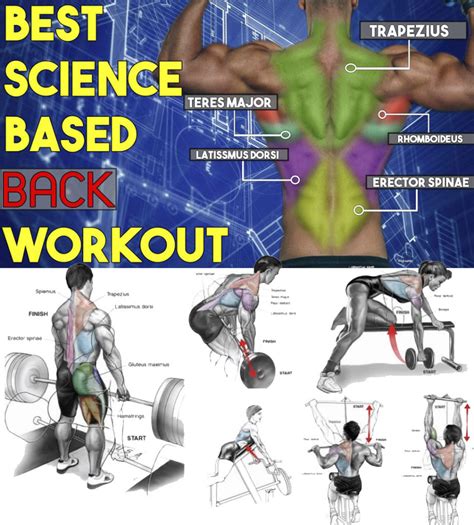 Image result for Broad Back Build