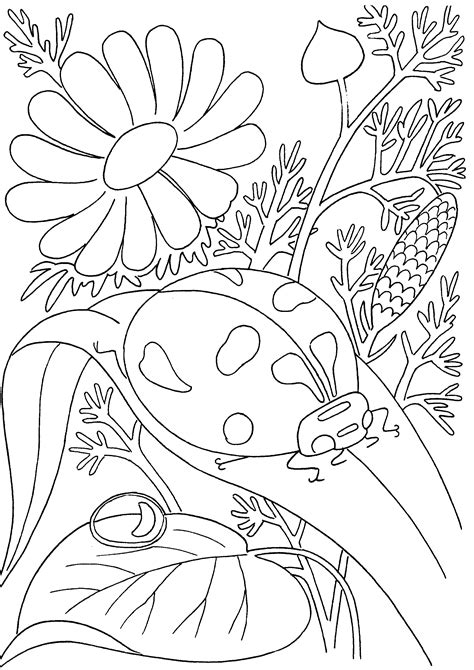 Spring Kid Coloring Pages Bugs కోసం చిత్ర ఫలితం