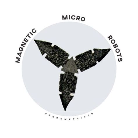 Image result for Magnetic Microbots