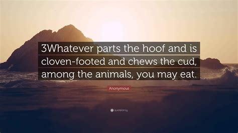 Image result for Split Hoof Animals