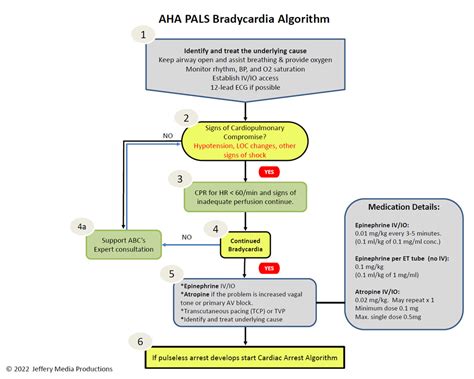 Afbeeldingsresultaten voor Pediatric ALS Algorithm