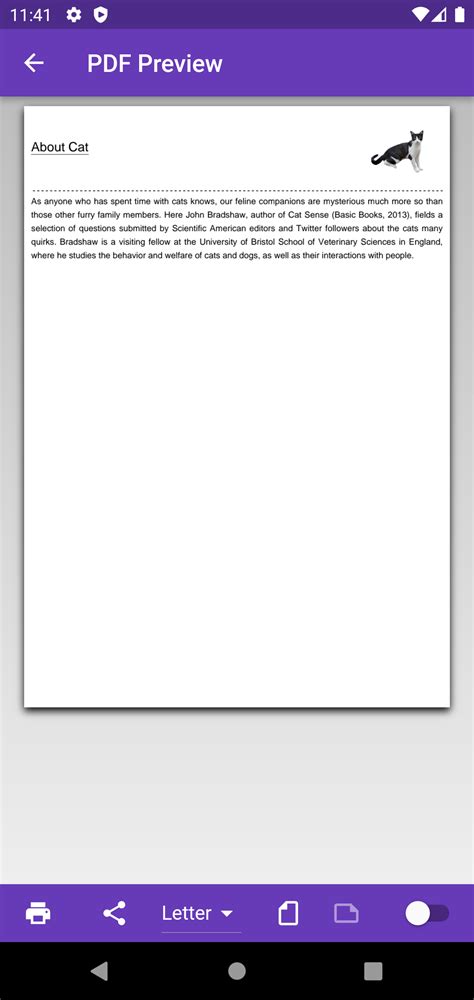 Image result for Insert Image PDF File Flutter